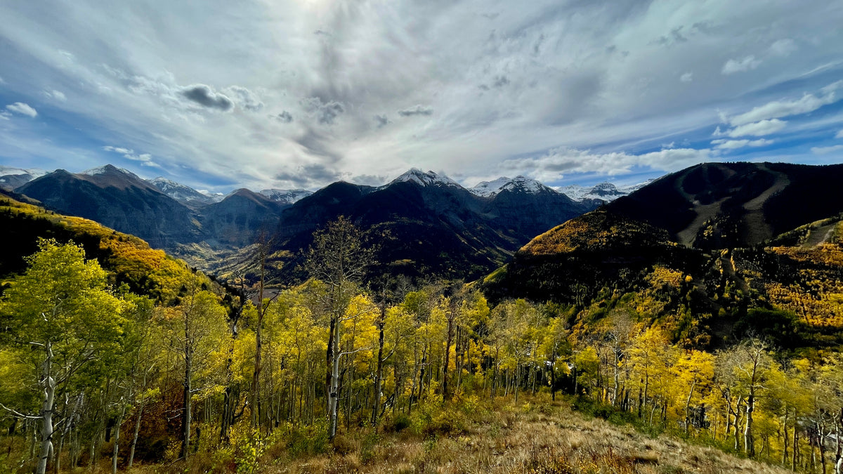What to do in Fall in Colorado Amari