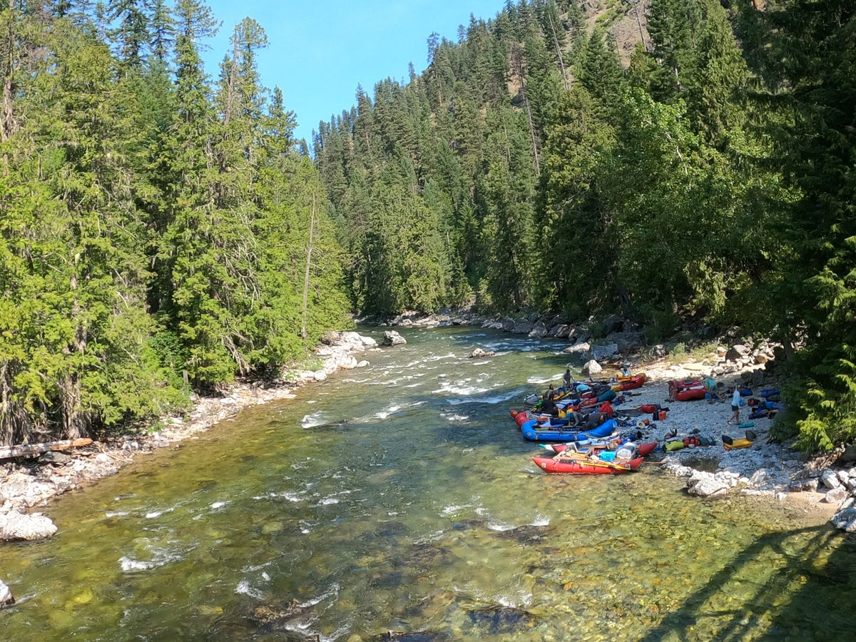 Selway Ricer Amari Trip Report: Selway River 2021